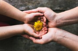Professional Trustee Services You Can Trust – de Groots Guardian Services Pty Ltd 3 Sydney